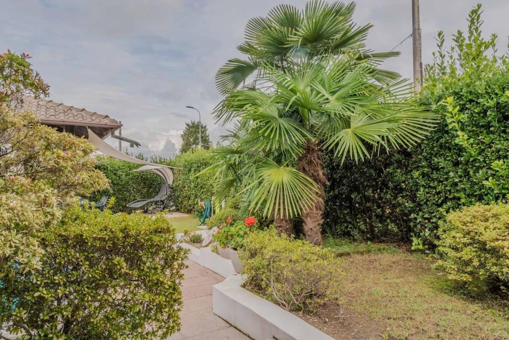 a palm tree in the middle of a garden at [Ca' Roby] Malpensa Airport relax - Free Wifi in Vizzola Ticino