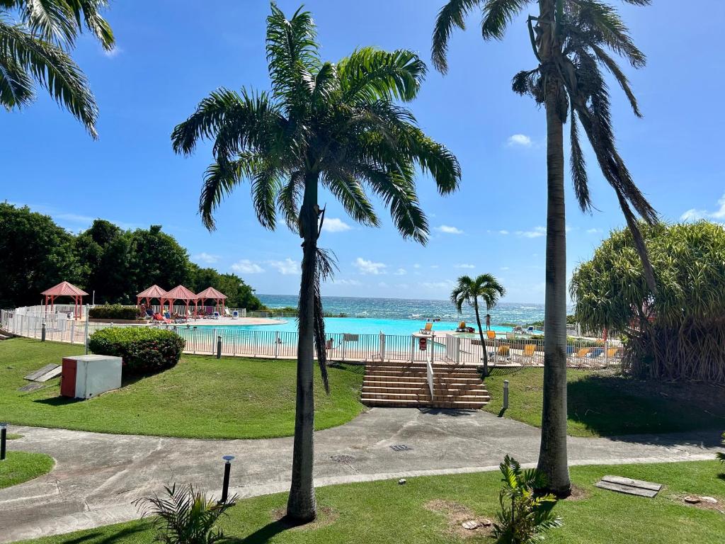 - une vue sur la plage depuis un complexe planté de palmiers dans l'établissement Le Ticolibri Anse des Rochers villa hibiscus, à Courcelles