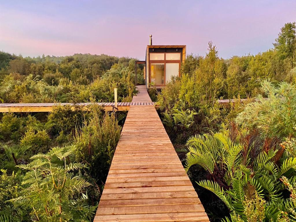 a wooden walkway leading to a house in the forest at Tinyhouse Pichi I - vida lenta en Patagonia Costa in Calbuco