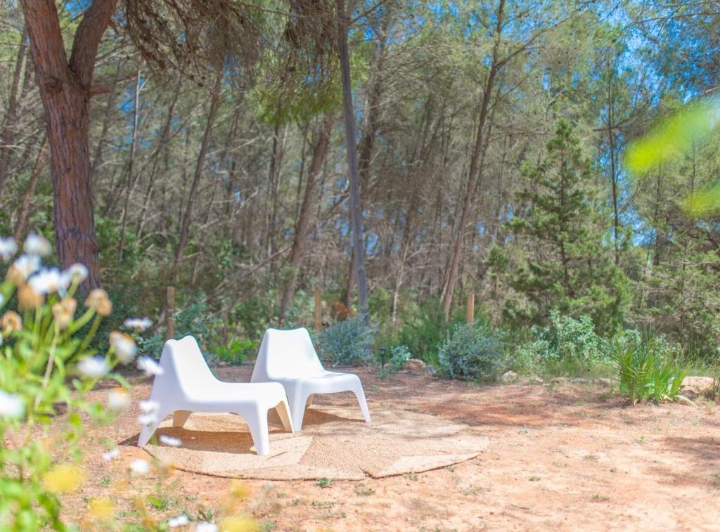 Zahrada ubytování Casa Can Vert con piscina