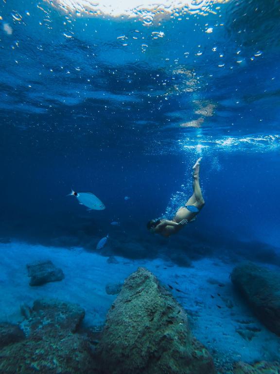a woman is swimming in the ocean with a fish at 7Pines Resort Ibiza, part of Destination by Hyatt in San Jose