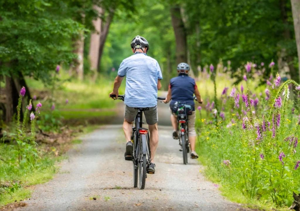 two people riding bikes down a dirt road at DOMAINE LE MEZO in Ploeren