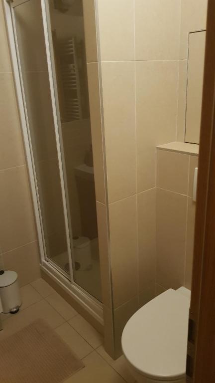 Koupelna v ubytování SKI Makov Apartmán 2L