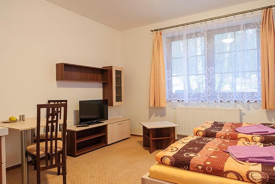 TV a/nebo společenská místnost v ubytování Apartmány Řezáč