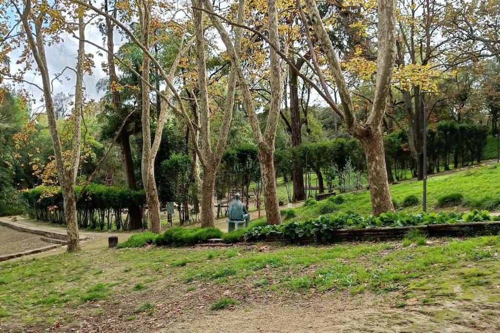 a person walking through a park with trees at JAM Retreat in Lisbon