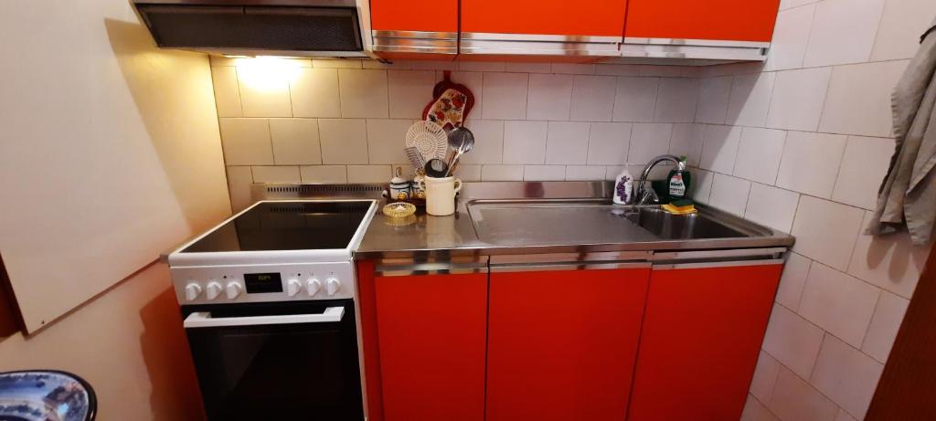 Kuchyňa alebo kuchynka v ubytovaní Appartamento di Montagna - Residence 'La Ginestra'