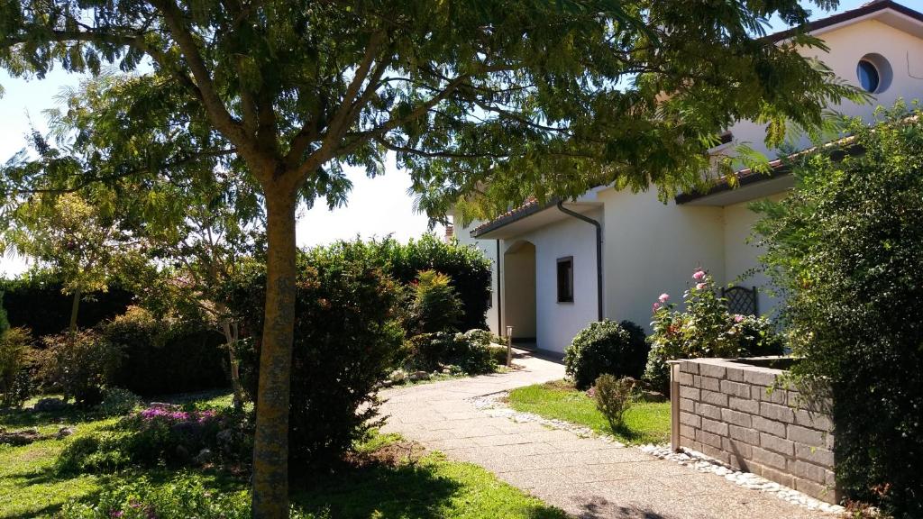 una casa con un árbol y una pasarela en A Viterbo Terme "Casa Vacanze Al Melograno", en Viterbo