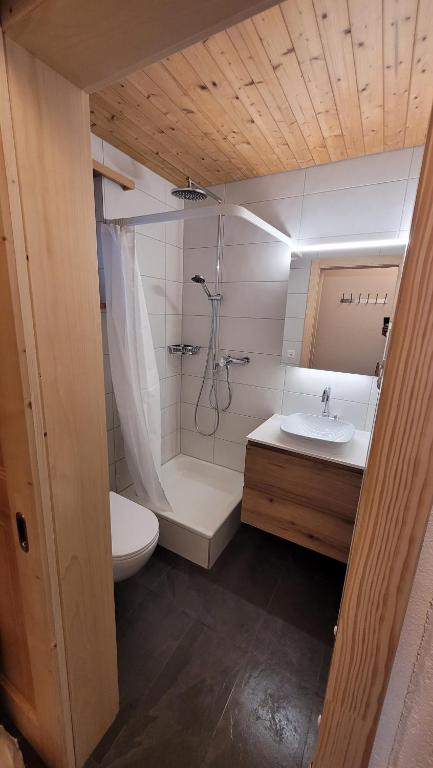 Koupelna v ubytování Chalet Meise