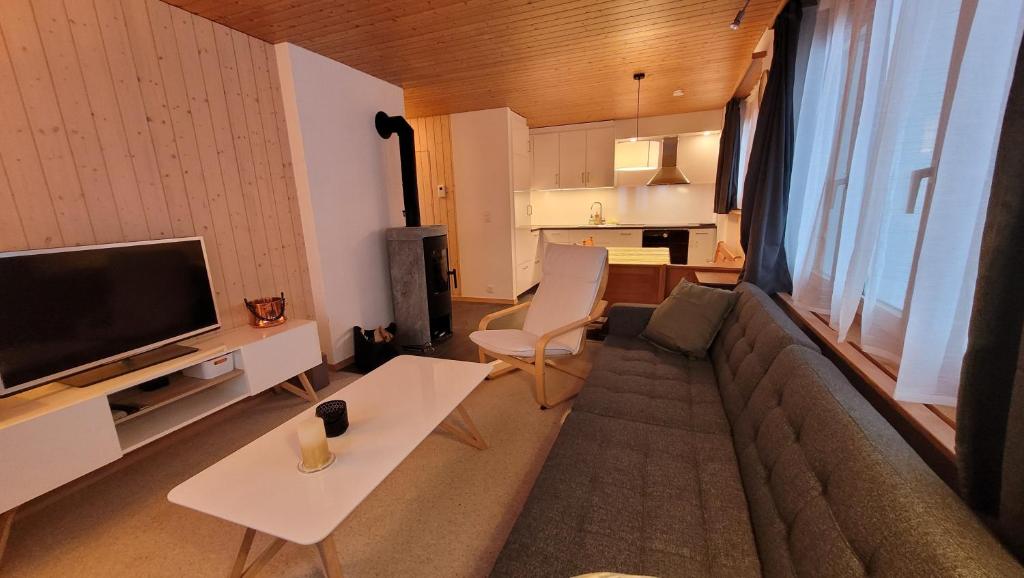 TV a/nebo společenská místnost v ubytování Chalet Meise