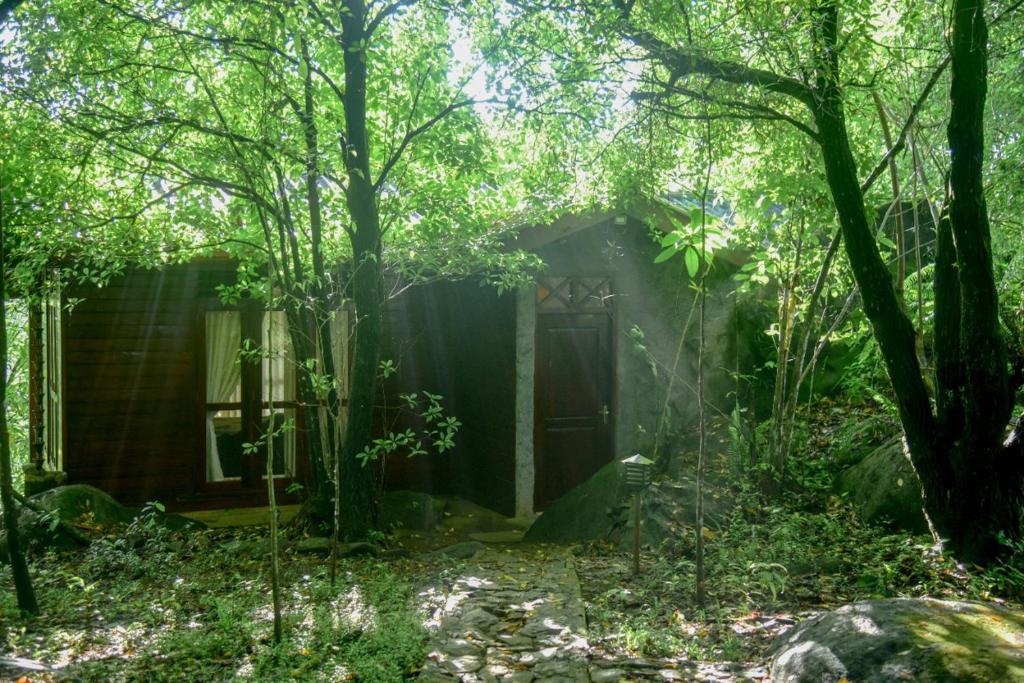 Sinharaja Rest - Chalet