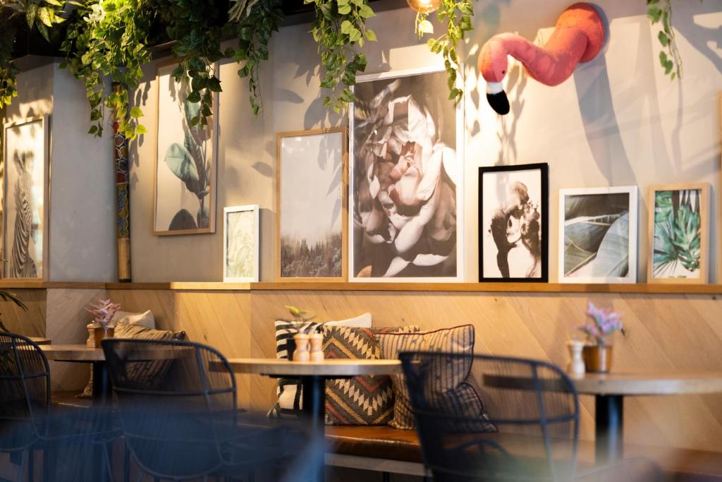 Hotel Indigo Antwerp City Centre by IHG - Resim 8