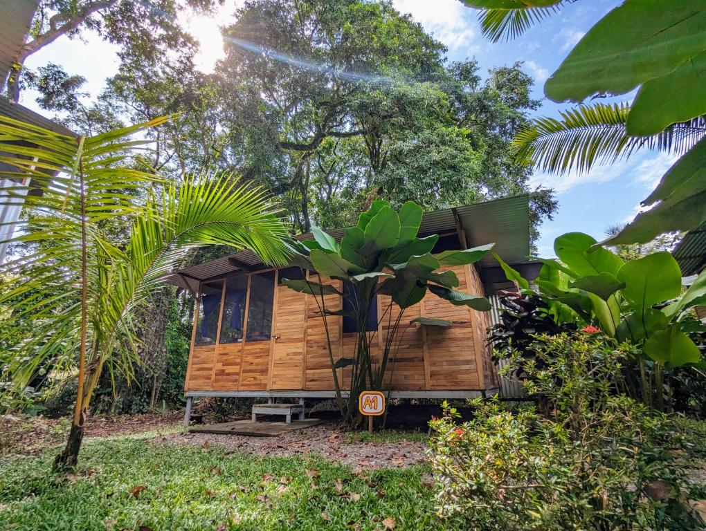 a tiny house in the middle of a forest at Arboura Eco Cabins in Uvita