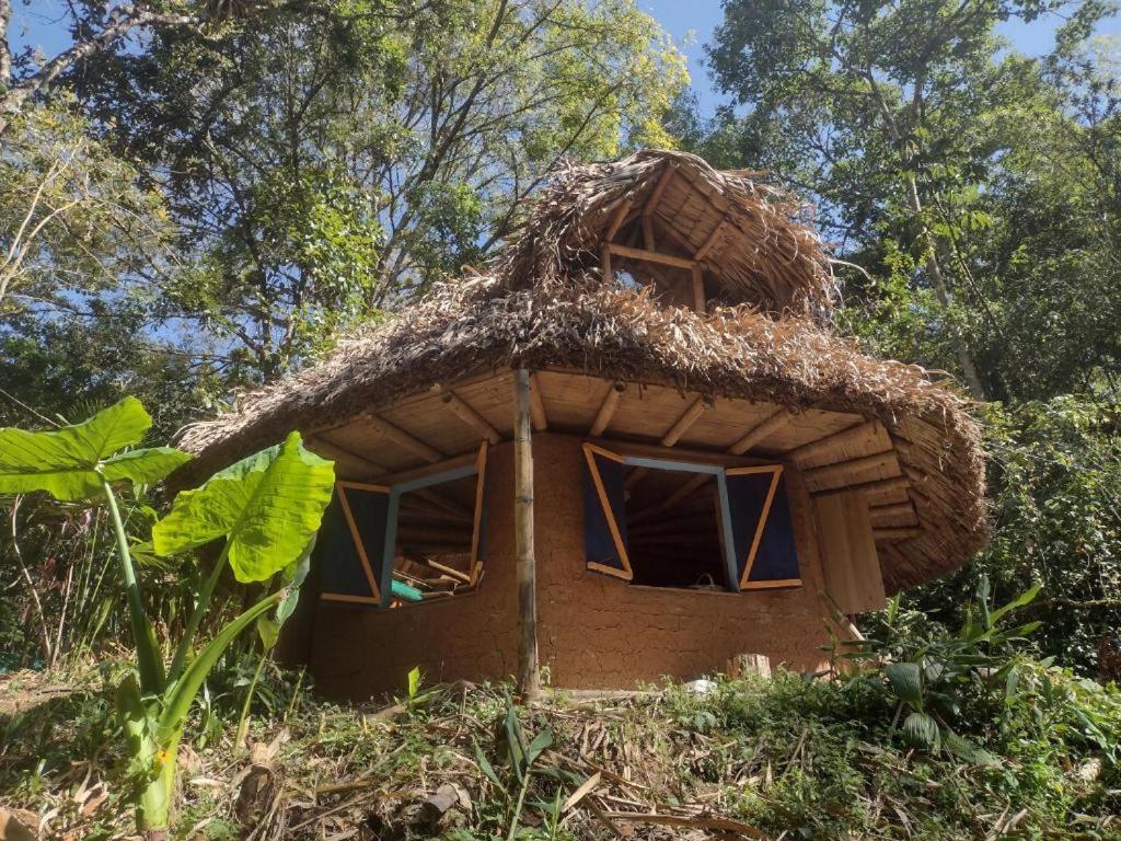 a small house with a grass roof on a hill at La malokita in San Agustín