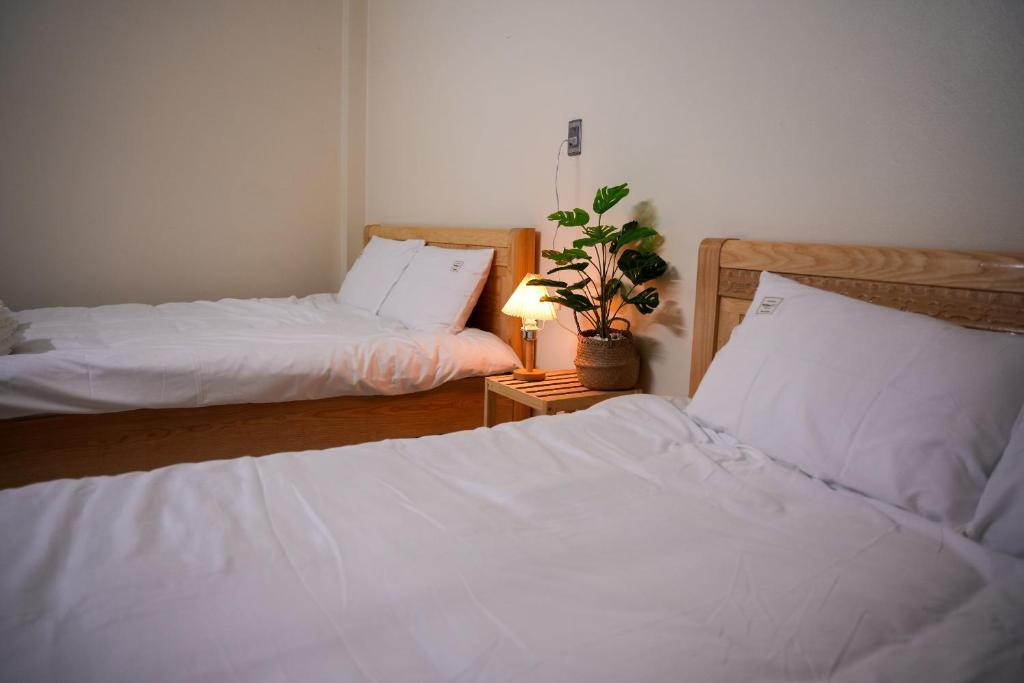 - une chambre avec deux lits et une plante en pot dans l'établissement Tom's House Motel & Motorbikes, à Làng Me