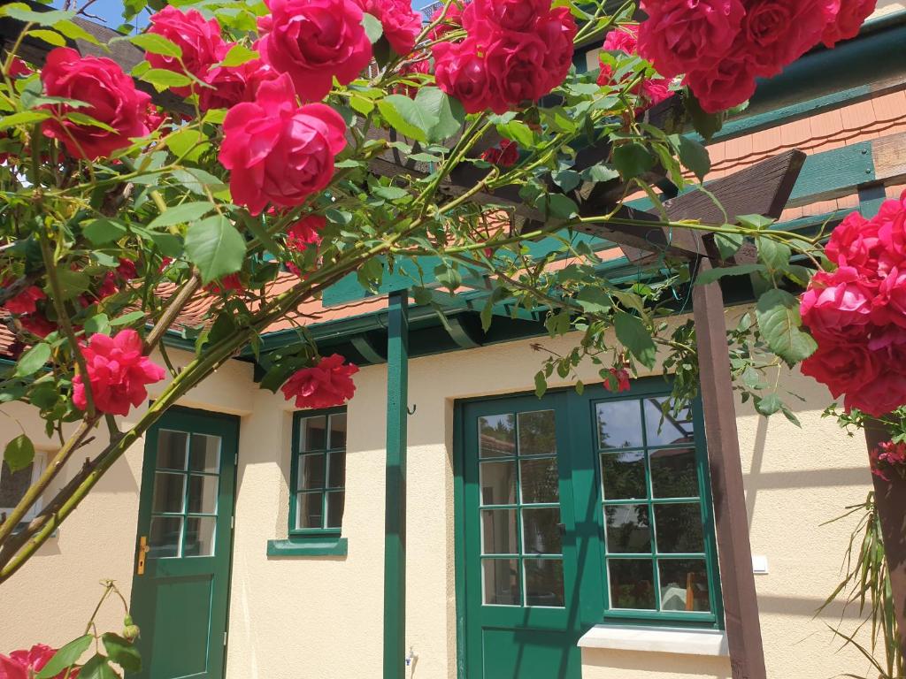 a house with red roses in front of a window at Denkmal-Ferienhaus in Dresden-Hellerau mit Sauna und Kamin in Dresden
