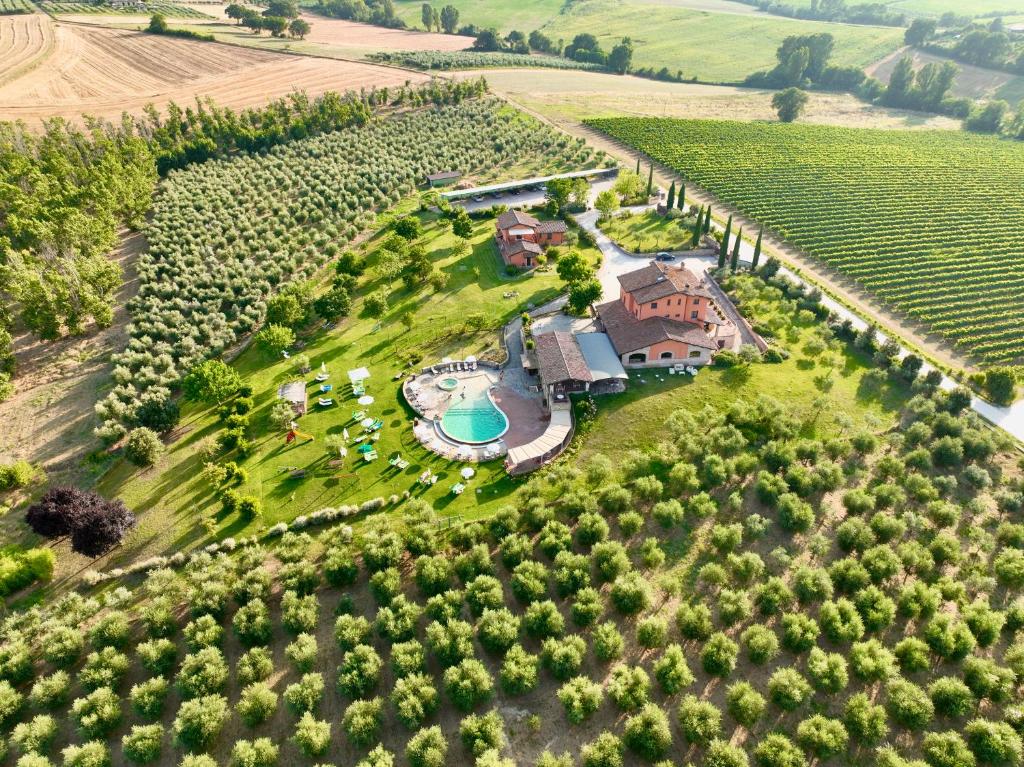 een luchtzicht op een huis in een wijngaard bij Tenuta Del Perugino in Bettona