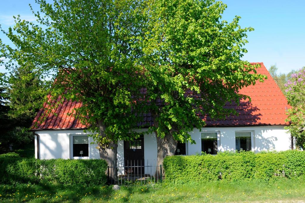 una casa blanca con techo rojo y un árbol en NiczonówNo1, en Karnitz