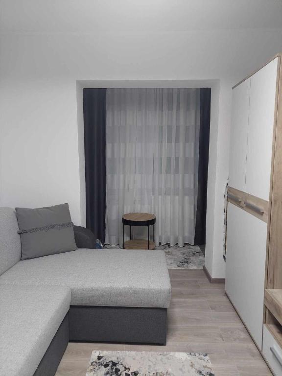 a living room with a bed and a window at Fresh Apartman in Târgu-Mureş