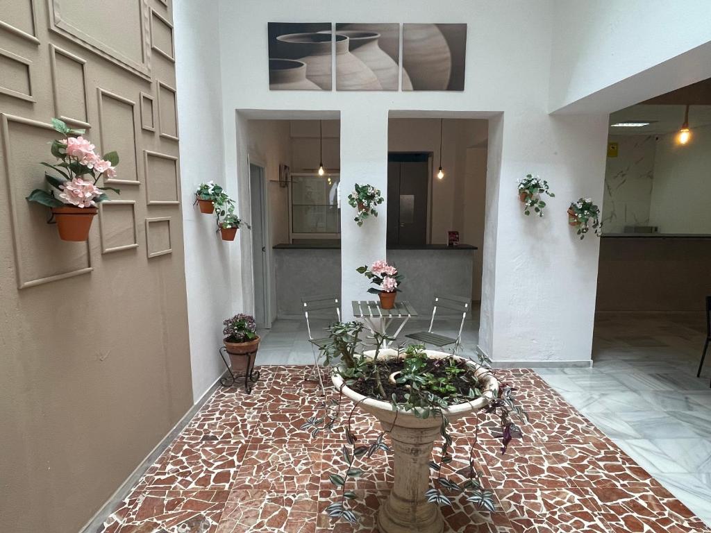 a hallway with a potted plant on the floor at BF BOUTIQUE JEREZ in Jerez de la Frontera