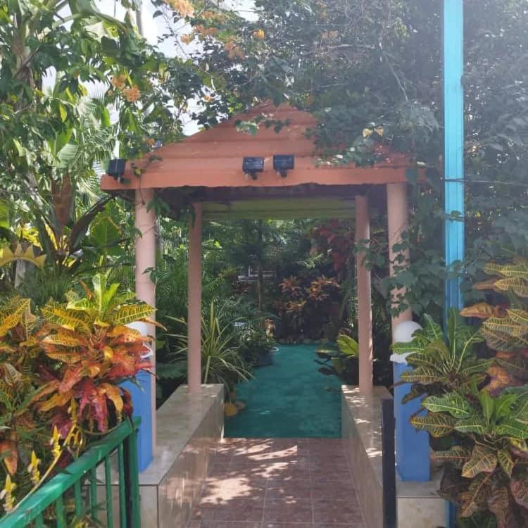 Zahrada ubytování Kubang Sepat HomeStay
