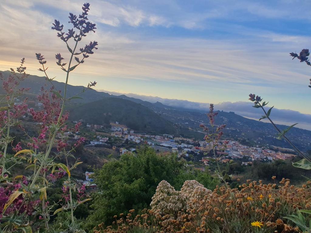 vistas a la ciudad desde una montaña en Casa Cueva Paquito, en Vega de San Mateo