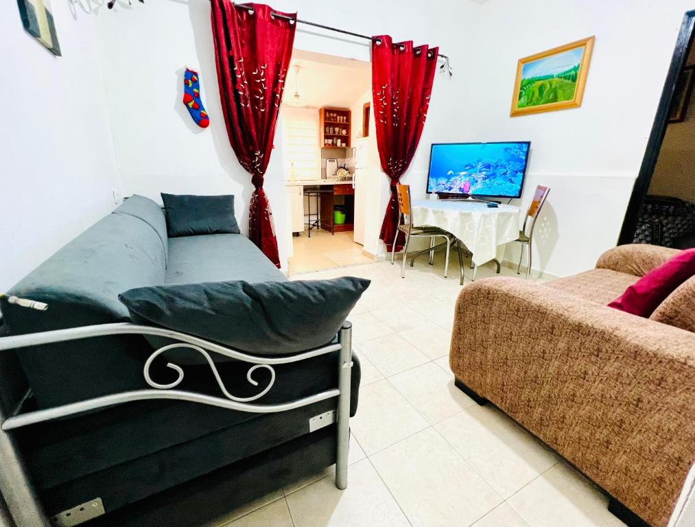 a living room with a couch and a tv at КВАРТИРА ВОЗЛЕ МОРЯ! in Haifa