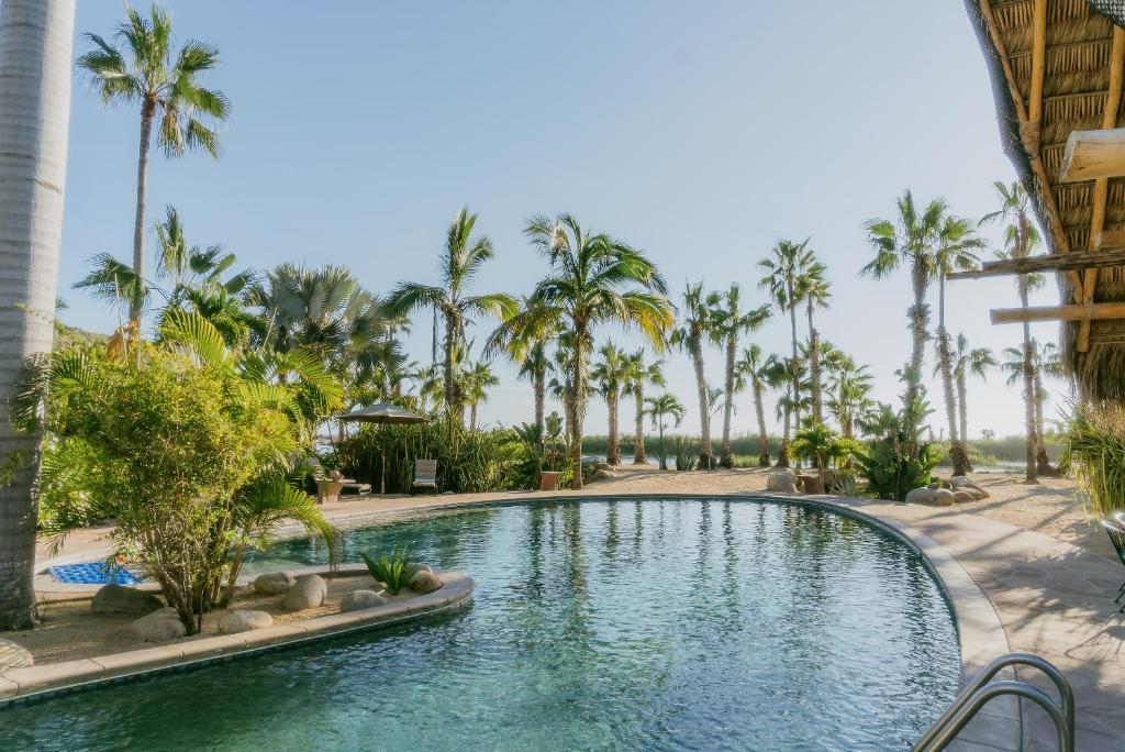托多斯桑托斯的住宿－La Poza Boutique Hotel and Spa - Adults 15 plus，棕榈树度假村的游泳池