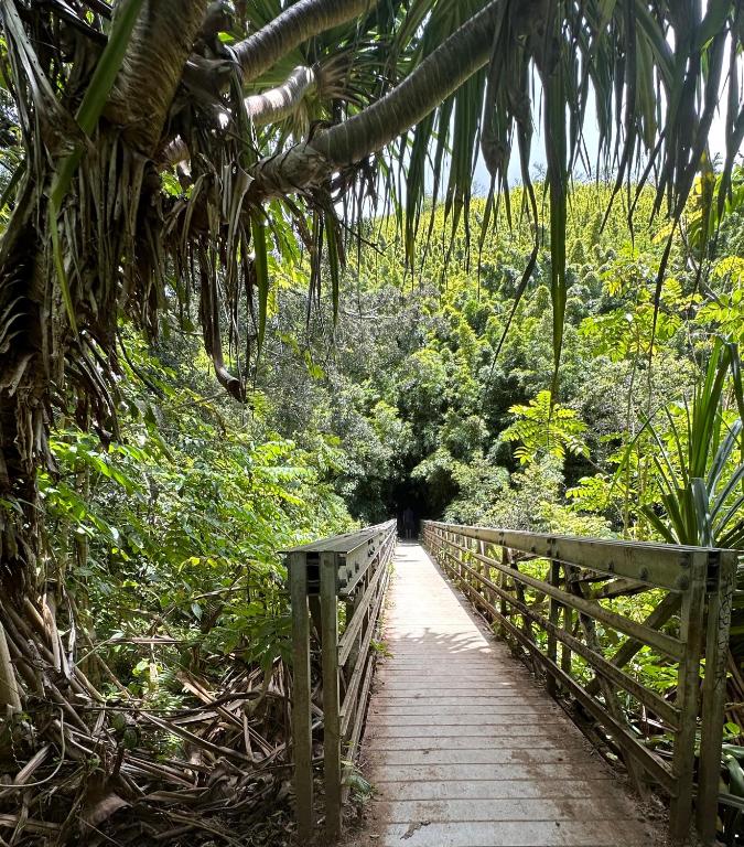 Fotografie z fotogalerie ubytování Explore Maui's diverse campgrounds and uncover the island's beauty from fresh perspectives every day as you journey with Aloha Glamp's great jeep equipped with a rooftop tent v destinaci Paia