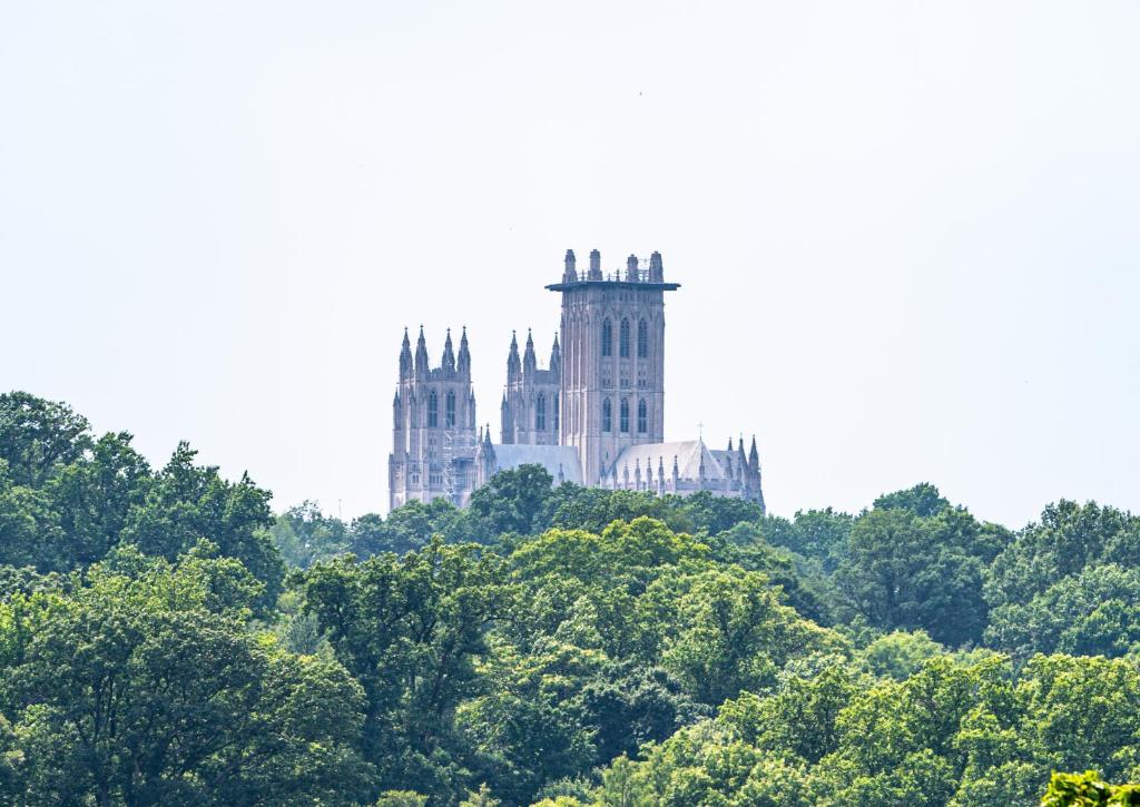 a large building in the distance behind trees at 4bdr/4bth penthouse with roof terrace in Washington, D.C.