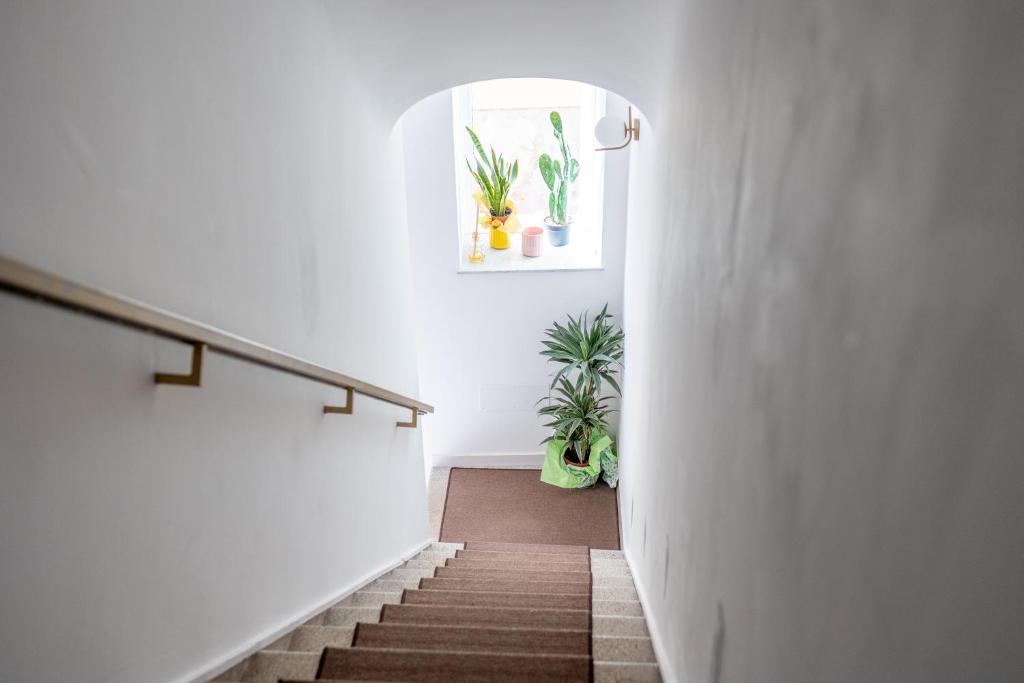Fotografie z fotogalerie ubytování Borgo La Chiusa v destinaci Cinisi
