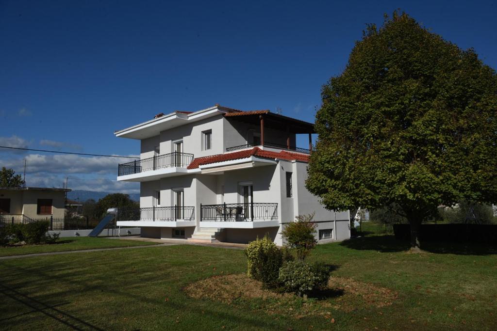 a large white building with a tree in front of it at VILLAGE HOUSE in Tríkala