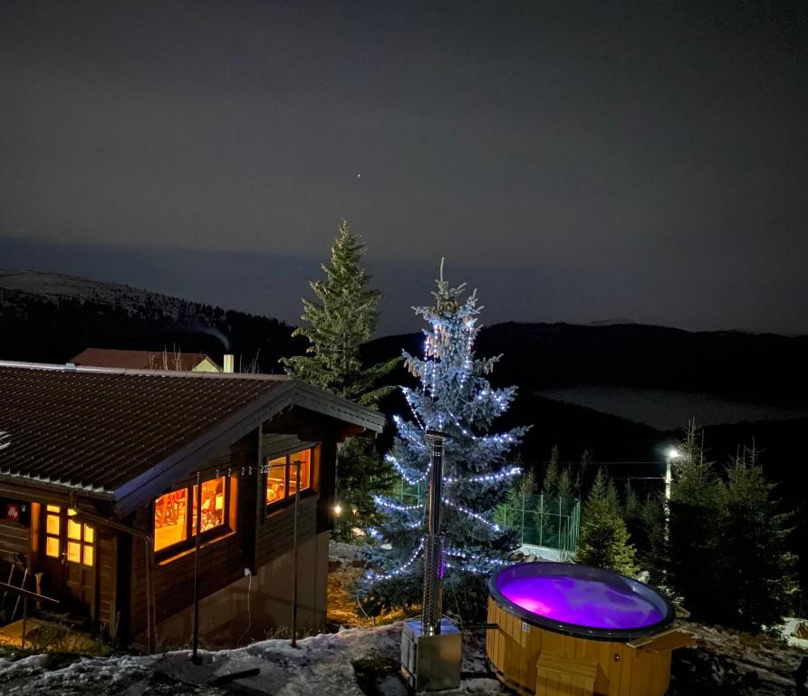 Un árbol de Navidad delante de una casa por la noche en Pensiunea Casa Ancutei, en Ranca