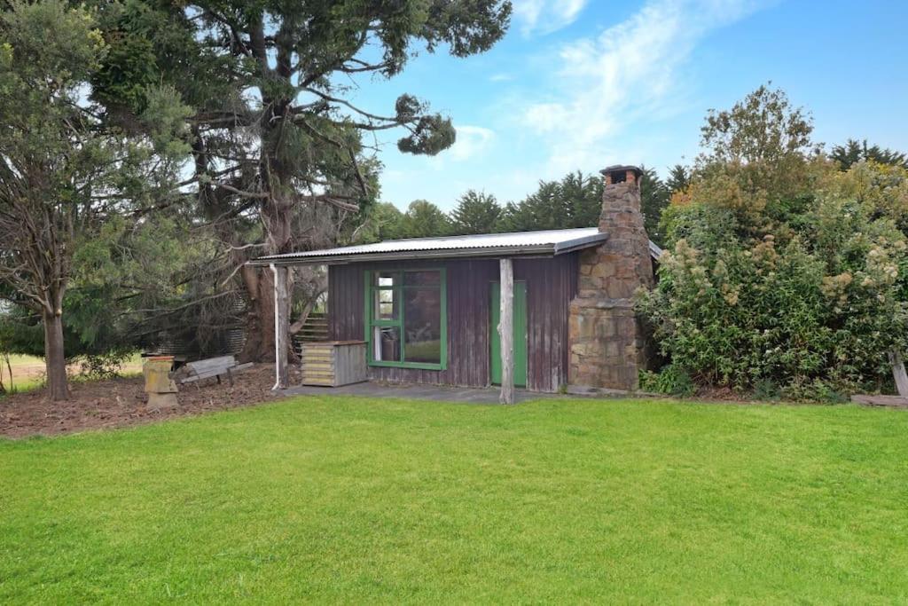 eine kleine Hütte in einem Hof mit einem Grasfeld in der Unterkunft Mt Elephant Forrest Cabin 