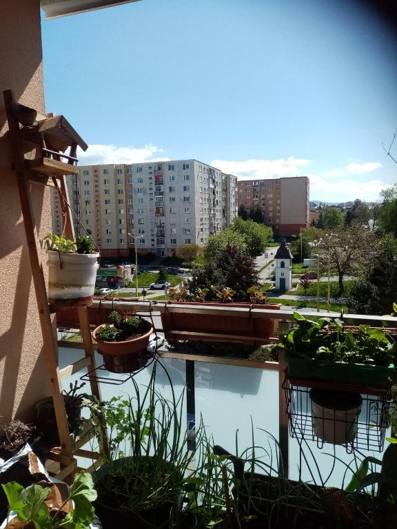 a balcony with potted plants and a view of a building at Pohodlná bytovka in Prešov