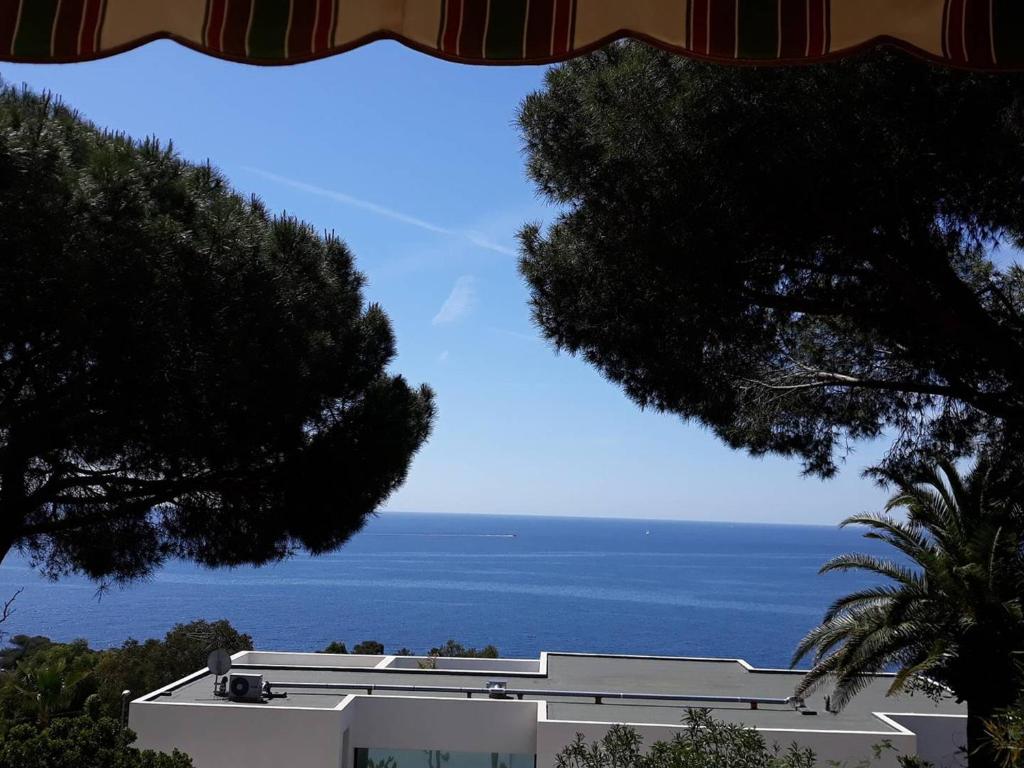 Příroda nedaleko vily