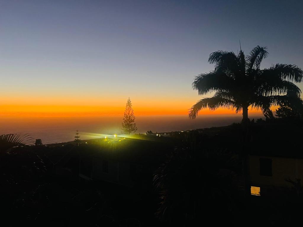 einen Sonnenuntergang mit einer Palme und dem Meer in der Unterkunft Ocean View Chambre in Saint-Leu