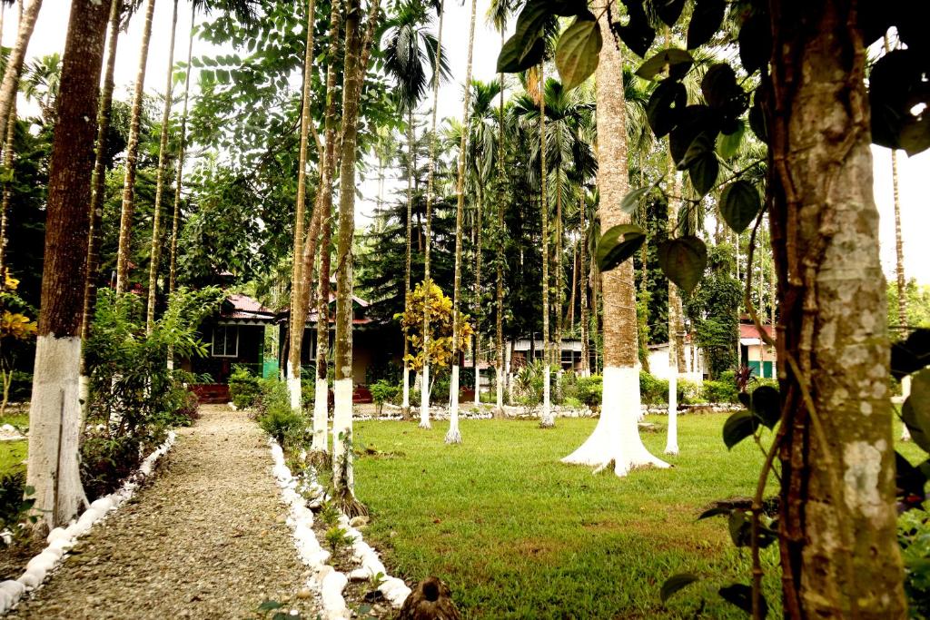 a path through a forest of palm trees at Ayush Jungle Resort in Jalpāiguri