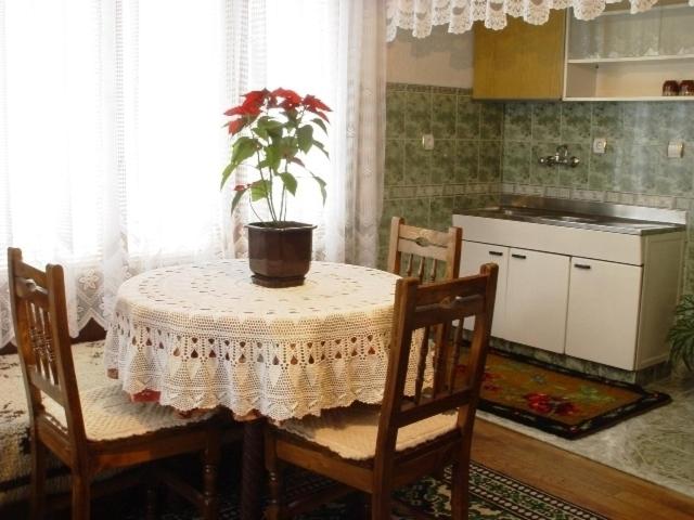 Kuchyň nebo kuchyňský kout v ubytování Villa Lalka