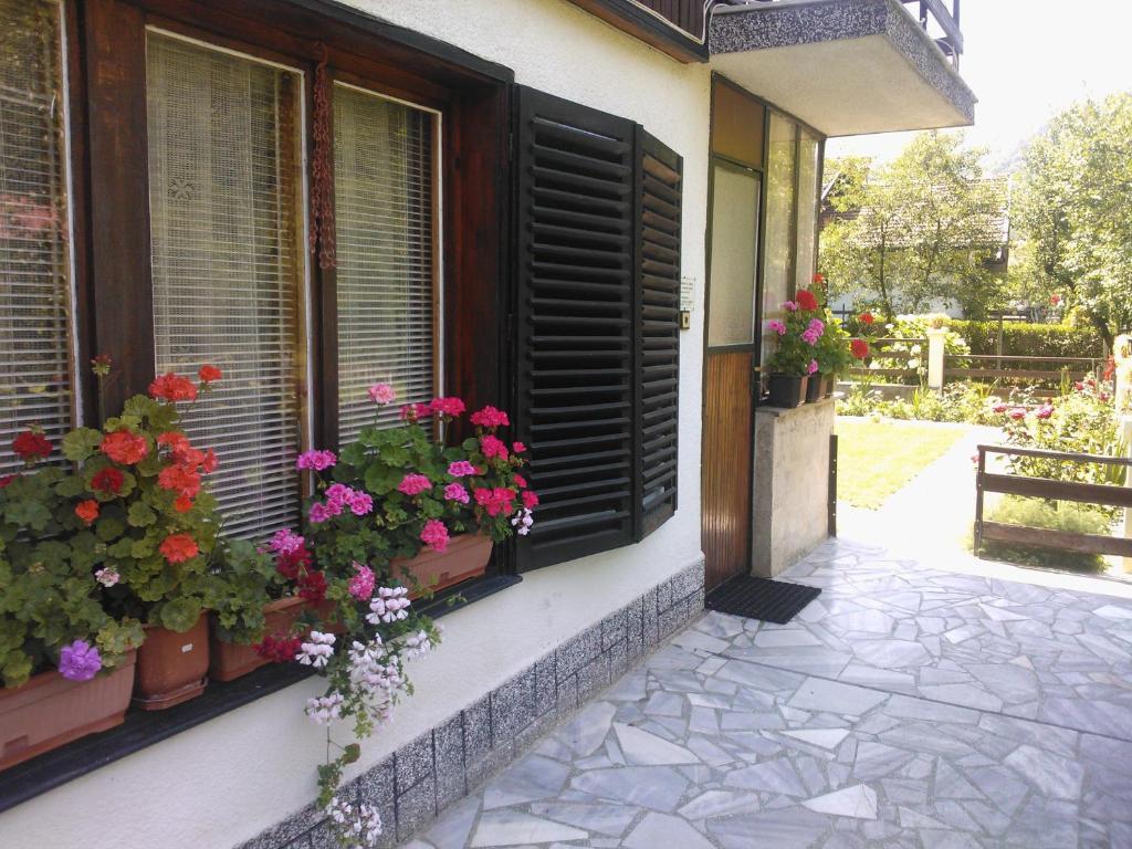 Zahrada ubytování Villa Lalka