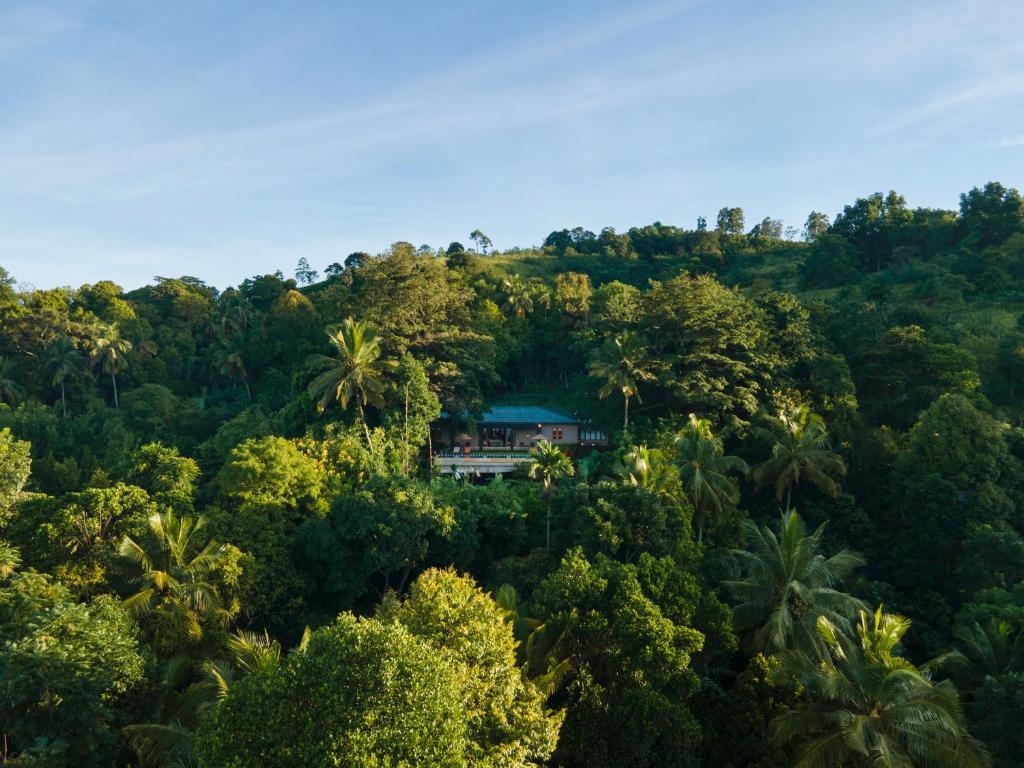 a house in the middle of a forest of trees at Mount Havana in Kandy