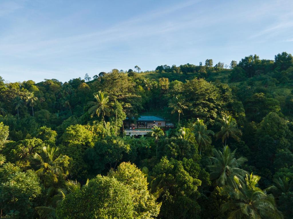 Mount Havana - Housity