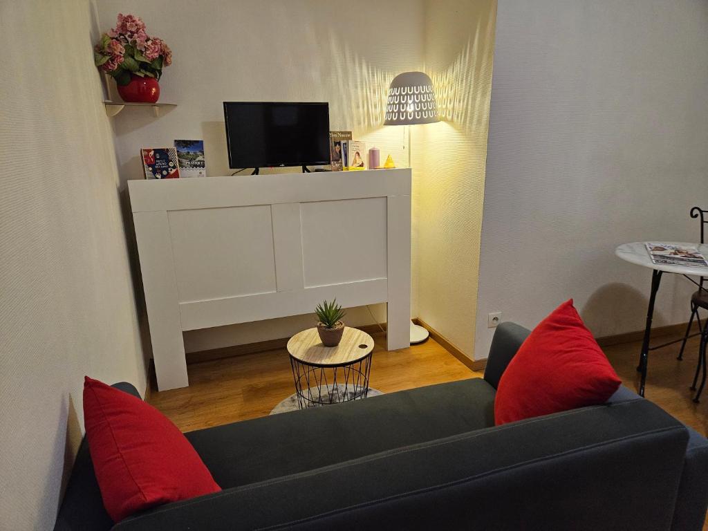 a living room with a black couch and red pillows at Appartement F2 entier près gare RER et SNCF in Conflans-Sainte-Honorine