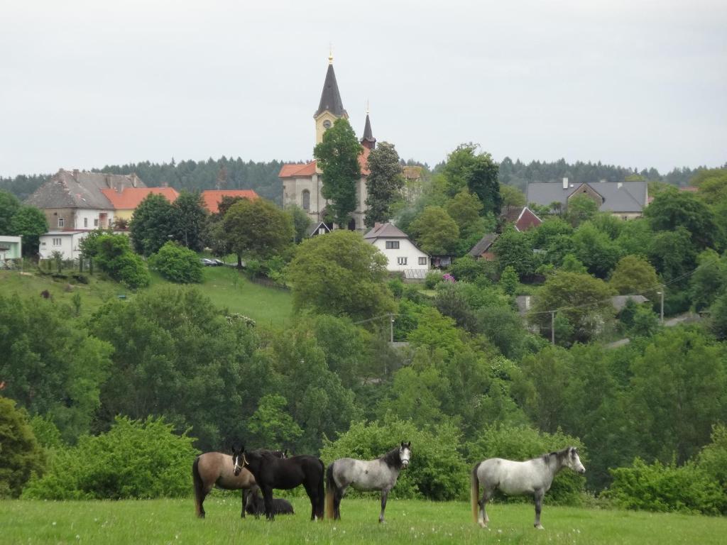 quatre chevaux debout dans un champ avec une ville en arrière-plan dans l'établissement Hostinec u Janatů s ubytováním, à Čestín