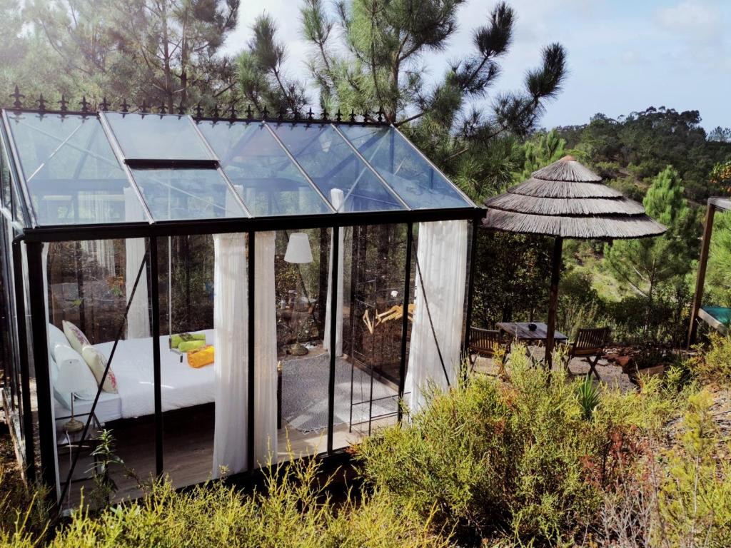 a glass house in a field with a tent at Costa Vicentina Sky View in Rogil