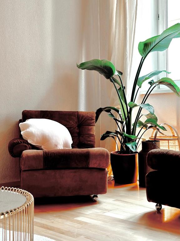 a living room with a couch and a plant at Wohnung in Graz - city center in Graz