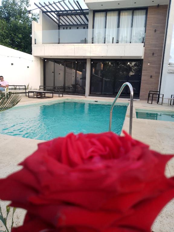 une rose rouge assise devant une piscine dans l'établissement La chamu, à Paso de la Patria