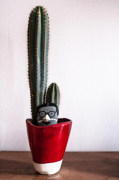 Buonocore Guesthouse - 13