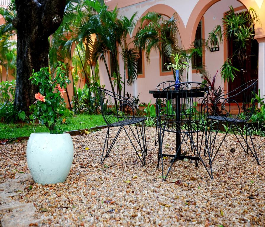 Zahrada ubytování Mango Hill La Serene Puducherry