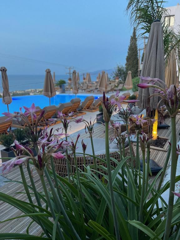 Bazén v ubytování Creta Blue Boutique Hotel nebo v jeho okolí