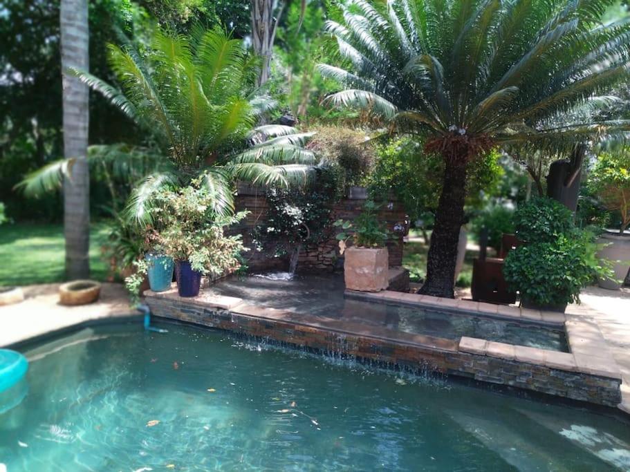 a swimming pool with palm trees in a yard at Ilnika Farm Stay in Naboomspruit
